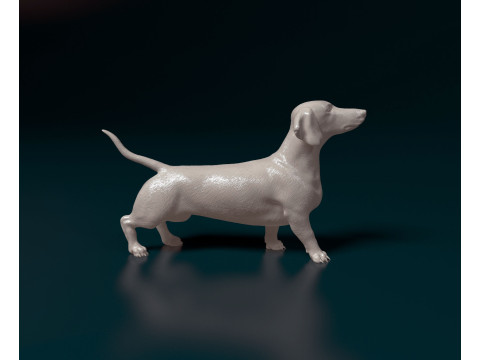 Dachshund 3D 打印模型