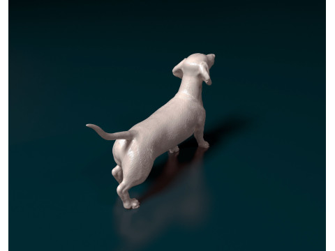 Dachshund 3D 打印模型