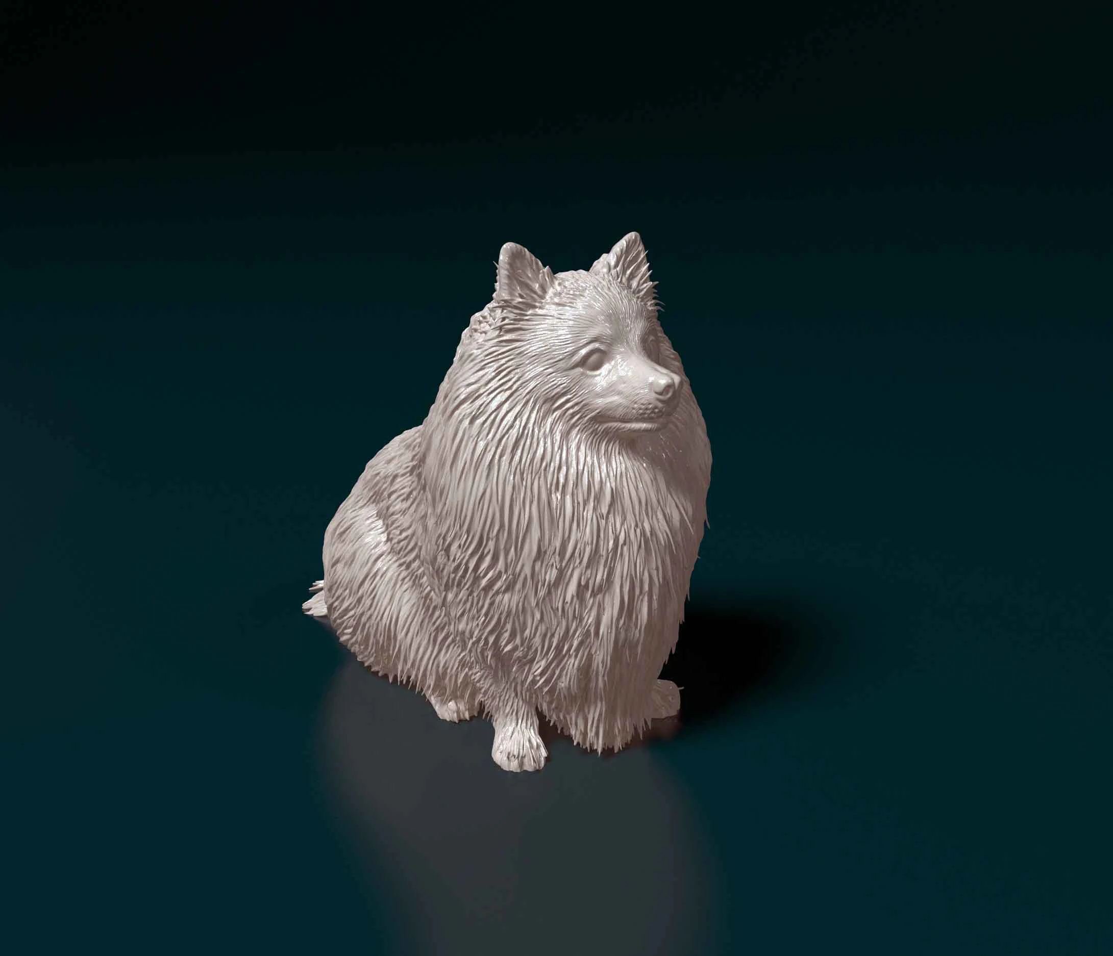 Pomeranian dog 3D Print Model .c4d .max .obj .3ds .fbx .stl .blend 