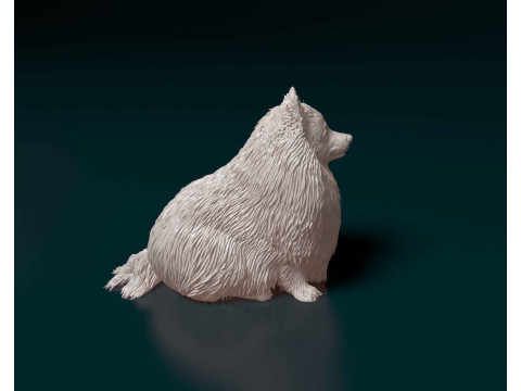 Pomeranian dog 3D प्रिंट मॉडल