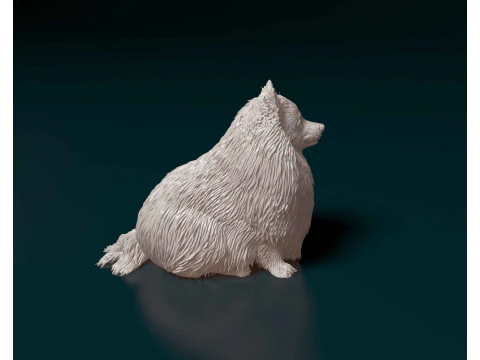 Pomeranian dog 3D Print Model
