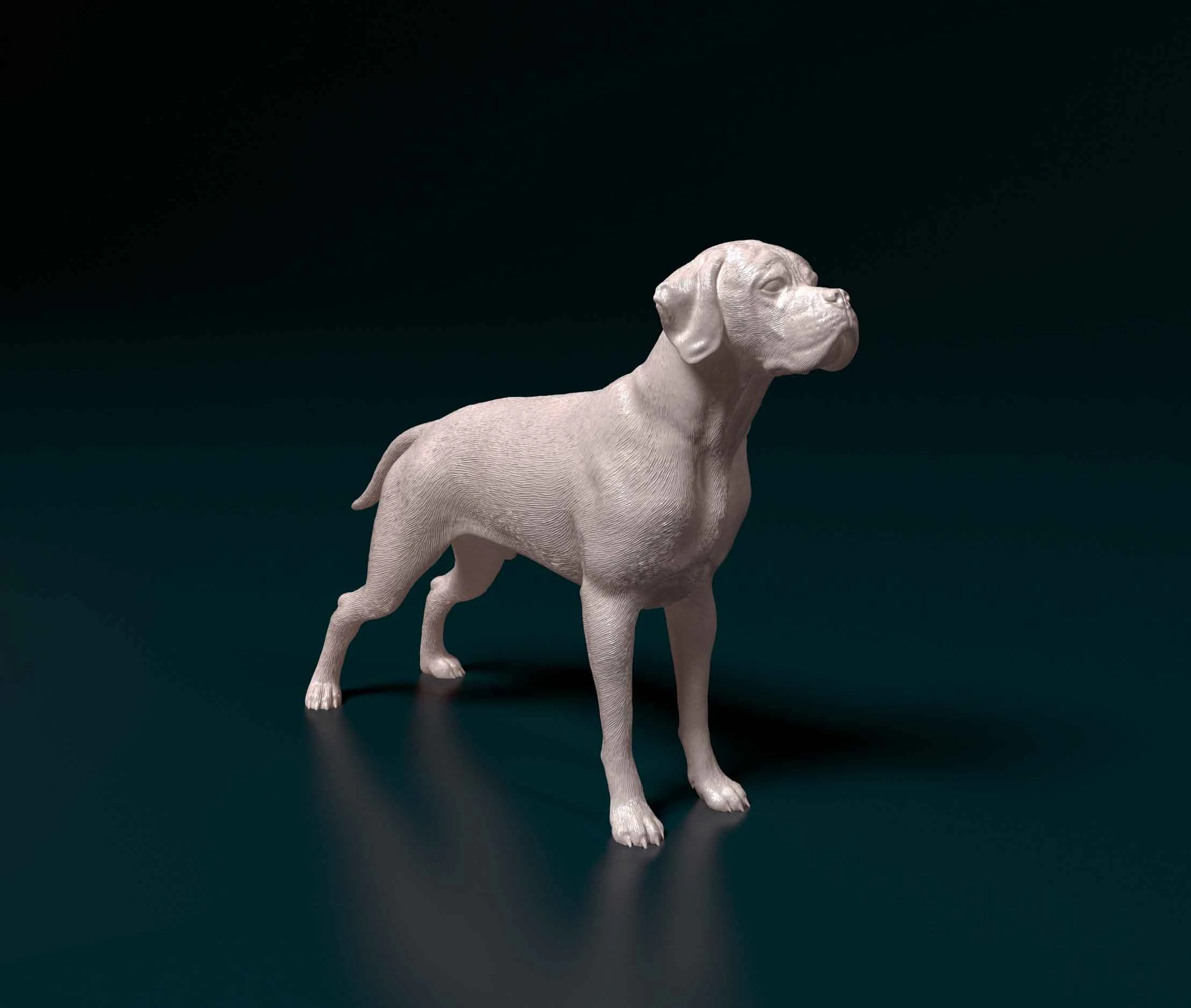 Portuguese Pointer 3D Print Model .c4d .max .obj .3ds .fbx .stl .blend 