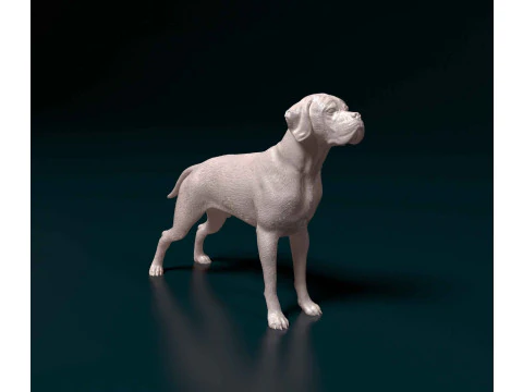 Penunjuk Portugis Model Cetak 3D