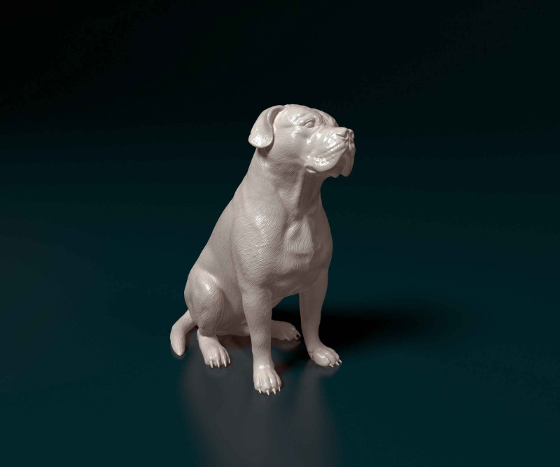 American Bulldog 3D Print Model .c4d .max .obj .3ds .fbx .stl .blend 