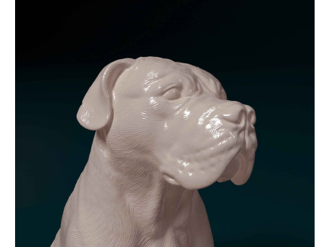 American Bulldog 3D Print Model