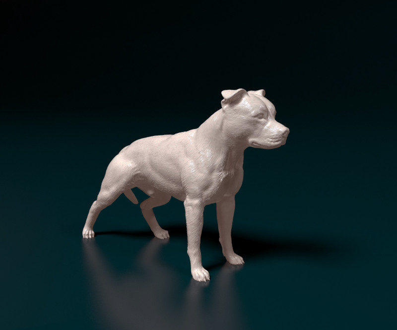 American Pitbull Modelo de Impressão 3D .c4d .max .obj .3ds .fbx .stl .blend 