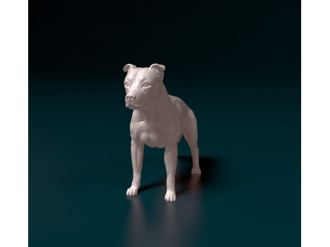 American Pitbull Modelo de Impressão 3D