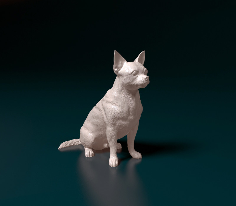 Chihuahua Pinscher Modelo de Impressão 3D .c4d .max .obj .3ds .fbx .stl .blend 