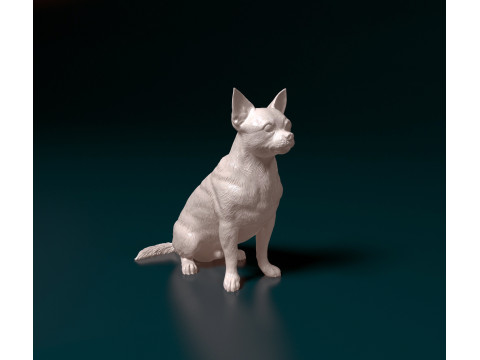Chihuahua Pinscher 3D Print Model