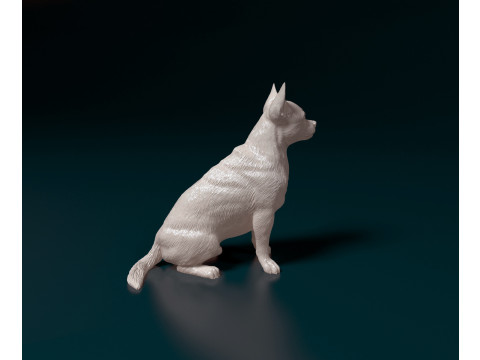 Chihuahua Pinscher Modelo de Impressão 3D