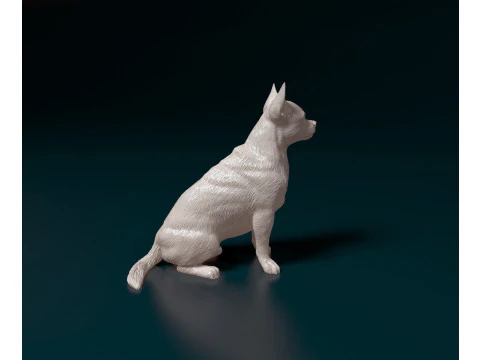 Chihuahua Pinscher 3D Print Model