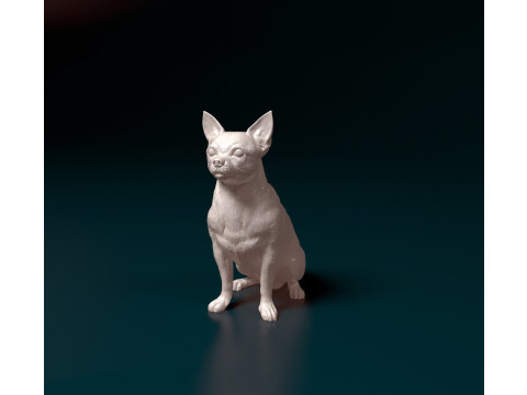 Chihuahua Pinscher Modelo de Impressão 3D