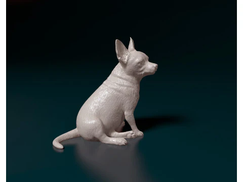 Chihuahua 3D Print Model