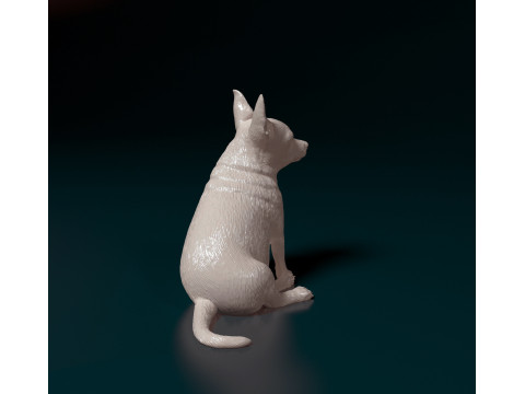 Chihuahua Modèles 3D en vedette