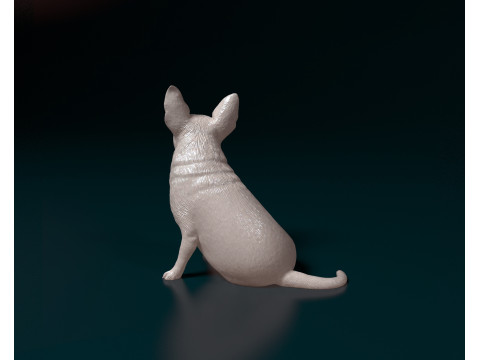 Chihuahua Modèles 3D en vedette