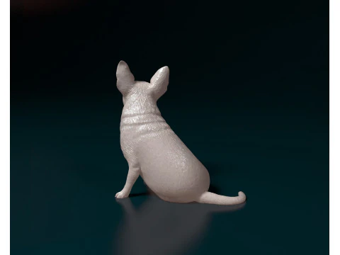 Chihuahua 3D Print Model