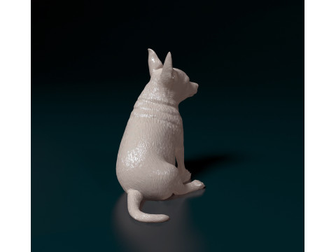 Chihuahua Modèles 3D en vedette