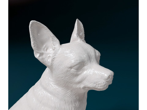 Chihuahua Modèles 3D en vedette