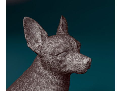 Chihuahua Modèles 3D en vedette