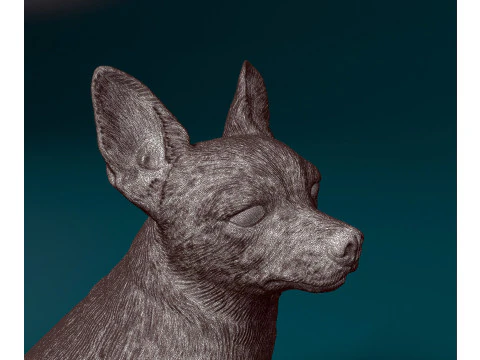 Chihuahua 3D Print Model