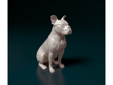 English Bulldog Model do druku 3D