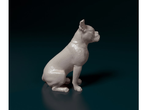 English Bulldog 3D प्रिंट मॉडल