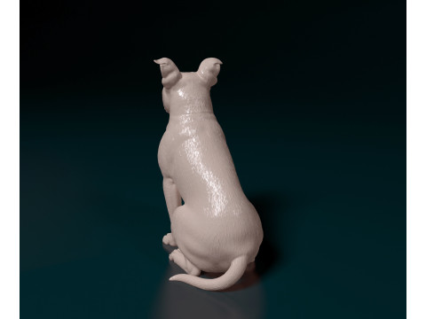 English Bulldog 3D प्रिंट मॉडल