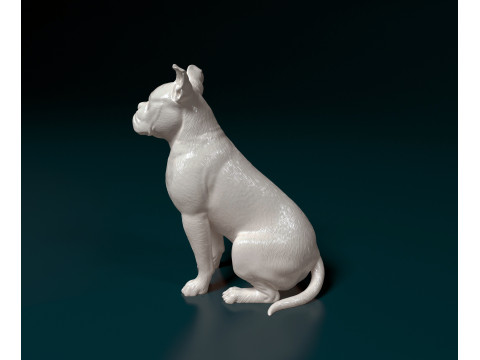 English Bulldog 3D प्रिंट मॉडल