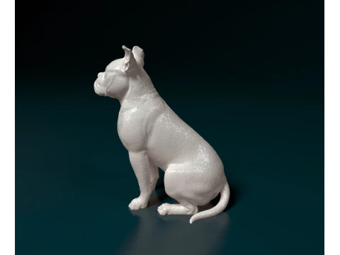 English Bulldog 3D Print Model