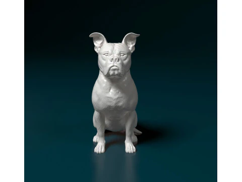 English Bulldog 3D Print Model