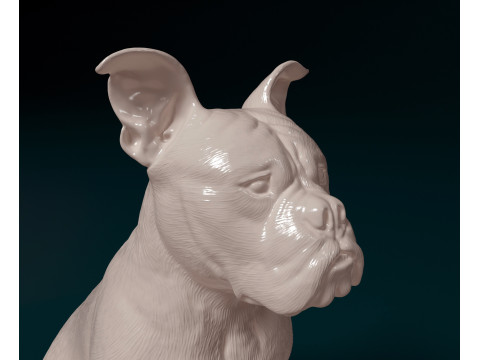 English Bulldog 3D प्रिंट मॉडल