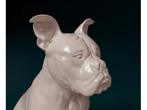English Bulldog 3D Print Model