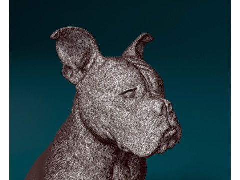 English Bulldog 3D प्रिंट मॉडल