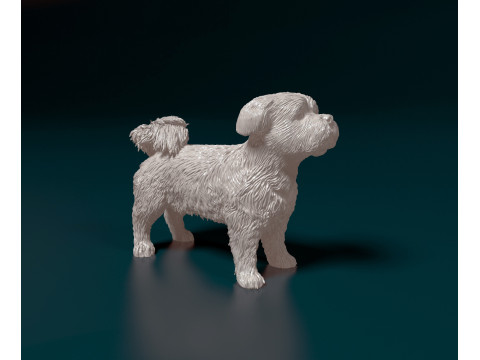 Havanese Dog Modelo de impresión 3D