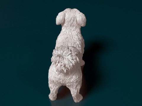 Havanese Dog Modelo de Impressão 3D