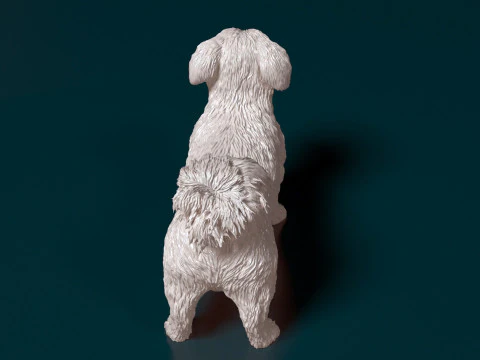 Cane Havanese Modello di stampa 3D
