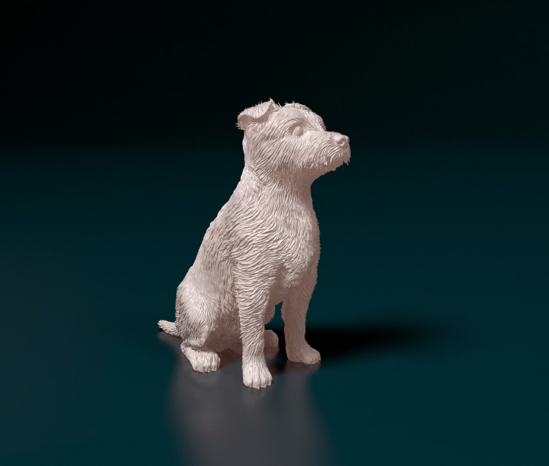 Jack Russell terrier Modello di stampa 3D .c4d .max .obj .3ds .fbx .stl .blend 