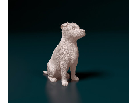 Jack Russell terrier 3D Принт Модель