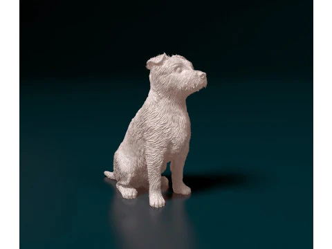 Джек Рассел терьер 3D Принт Модель