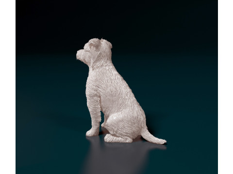 Jack Russell terrier Modello di stampa 3D