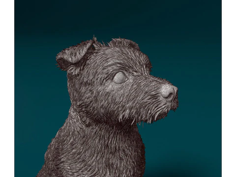 Jack Russell terrier 3D Print Model