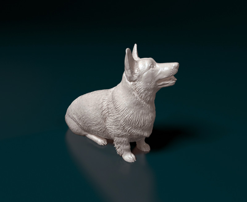 Pembroke Welsh Corgi 3D Print Model .c4d .max .obj .3ds .fbx .stl .blend 