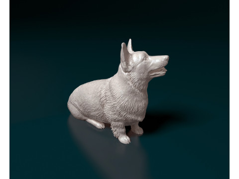 Pembroke Welsh Corgi 3D Print Model