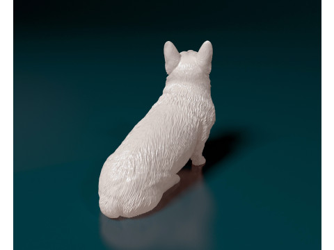 Pembroke Welsh Corgi 3D Print Model