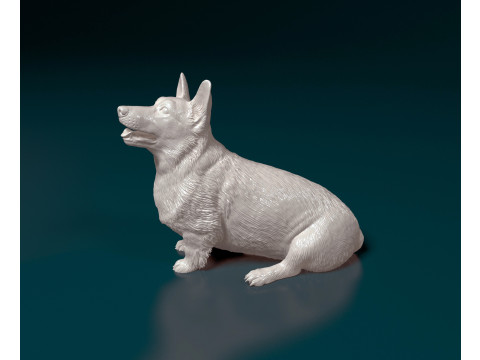 Pembroke Welsh Corgi 3D Print Model