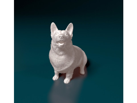 Pembroke Welsh Corgi 3D Print Model