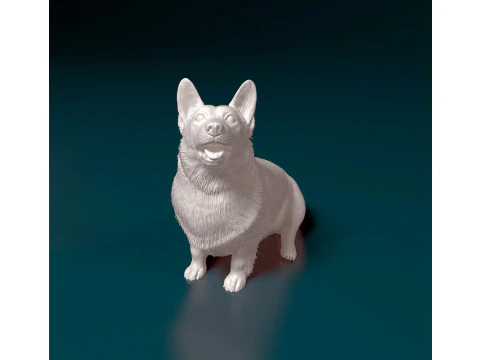 Pembroke Welsh Corgi 3D Print Model