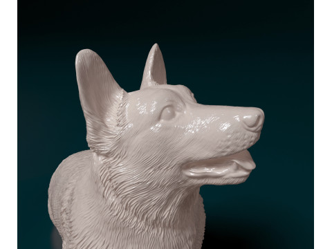 Pembroke Welsh Corgi 3D Print Model