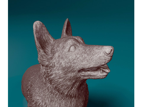 Pembroke Welsh Corgi 3D Print Model
