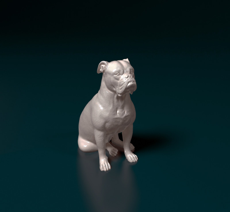 English Bulldog Modelo de Impressão 3D .c4d .max .obj .3ds .fbx .stl .blend 